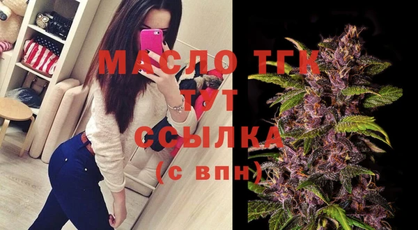 2c-b Бородино