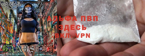 2c-b Бородино