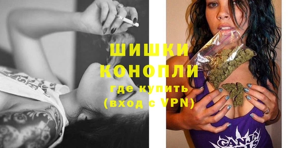 2c-b Бородино