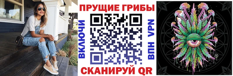 Галлюциногенные грибы MAGIC MUSHROOMS  Купить закладки  Грязи 