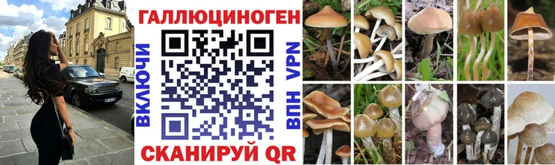 Псилоцибиновые грибы Magic Shrooms Грязи